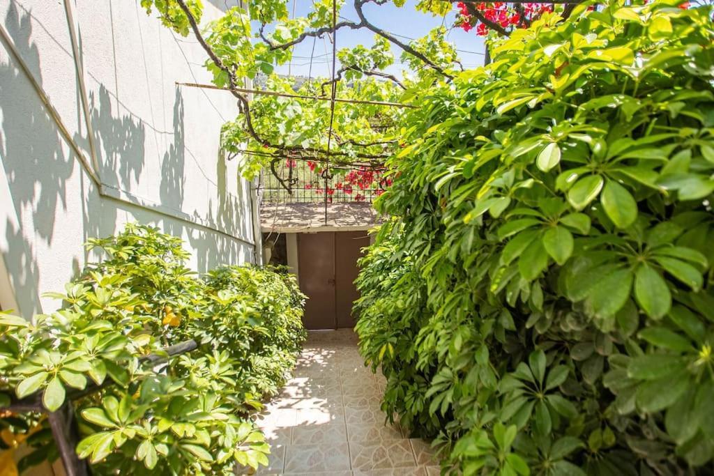 Blue Maraci 2 - Sea View, Kitchen, Beach Access Apartment ฮีมาเรอ ภายนอก รูปภาพ
